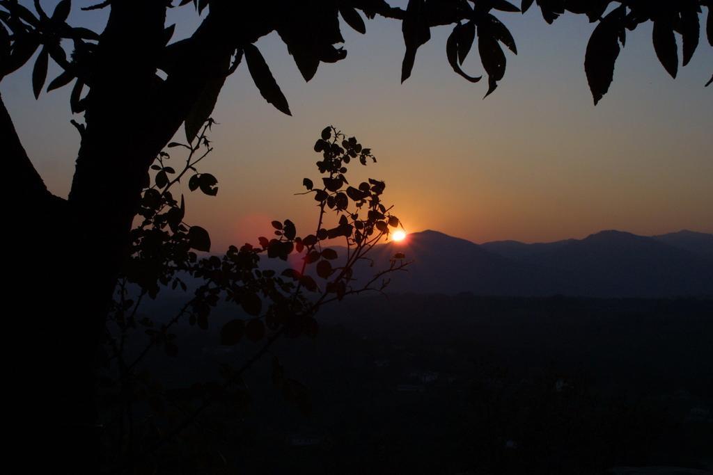 Forni Rosaia Villa Olivola  Bagian luar foto