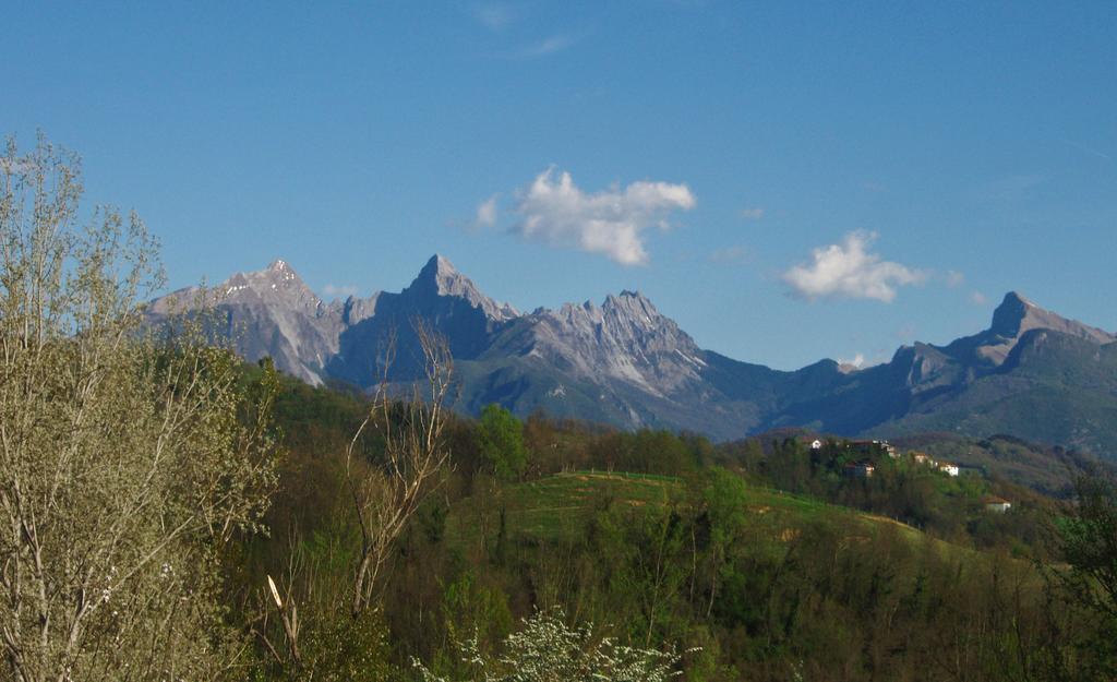 Forni Rosaia Villa Olivola  Bagian luar foto