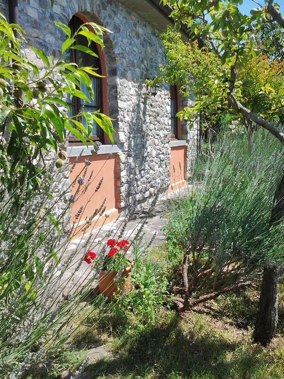 Forni Rosaia Villa Olivola  Bagian luar foto